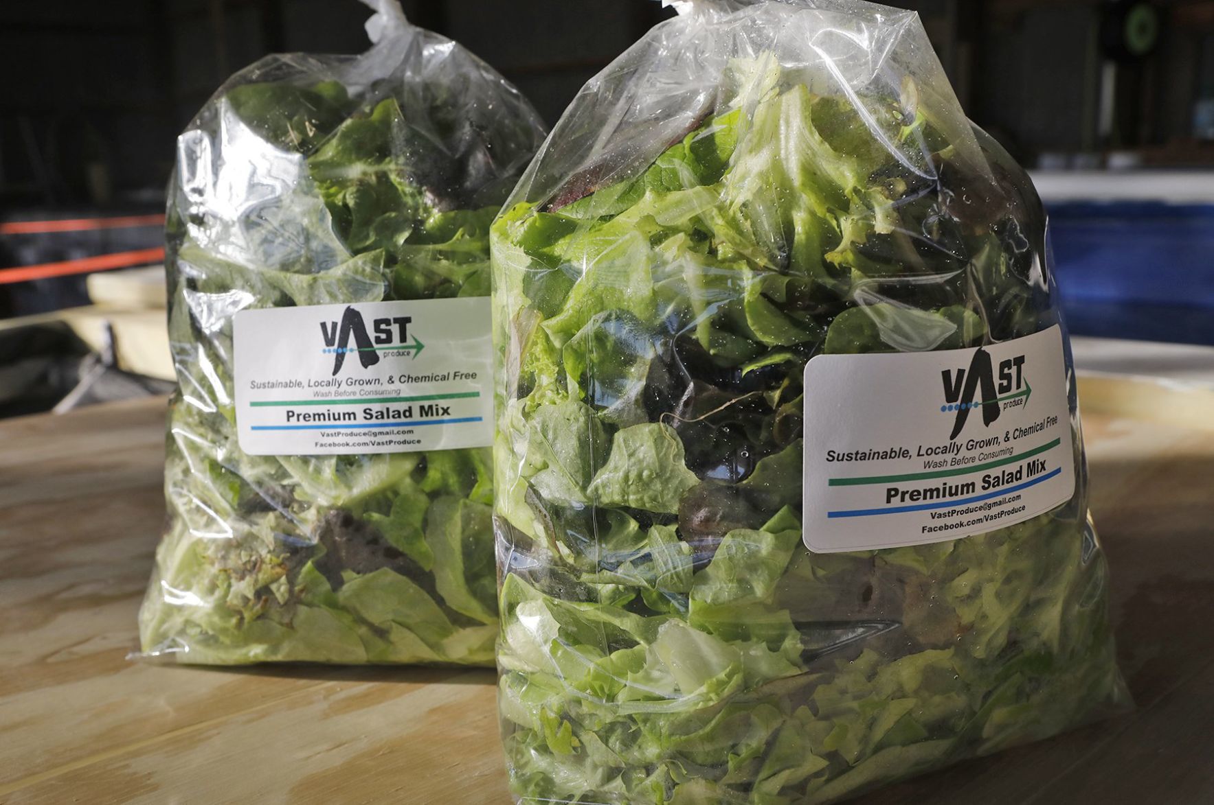 The Mueth brothers give vertical farming a try